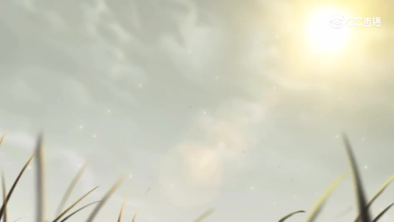 小鼍龙