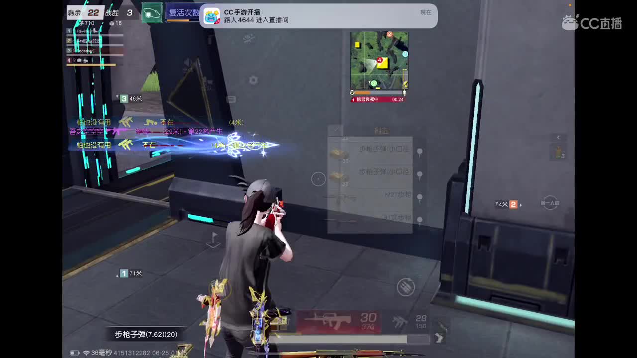 随缘枪法 第12段