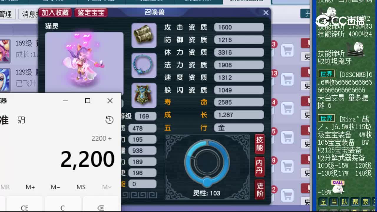 【主播点评】猫灵
