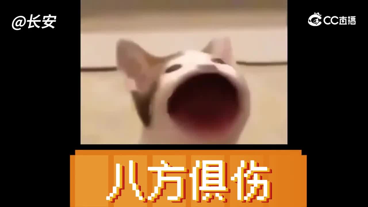 玩梗套装