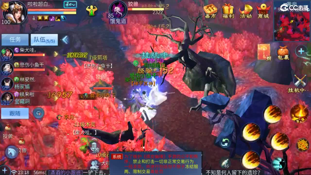 接托管·打架·比武·斗魂 第10段