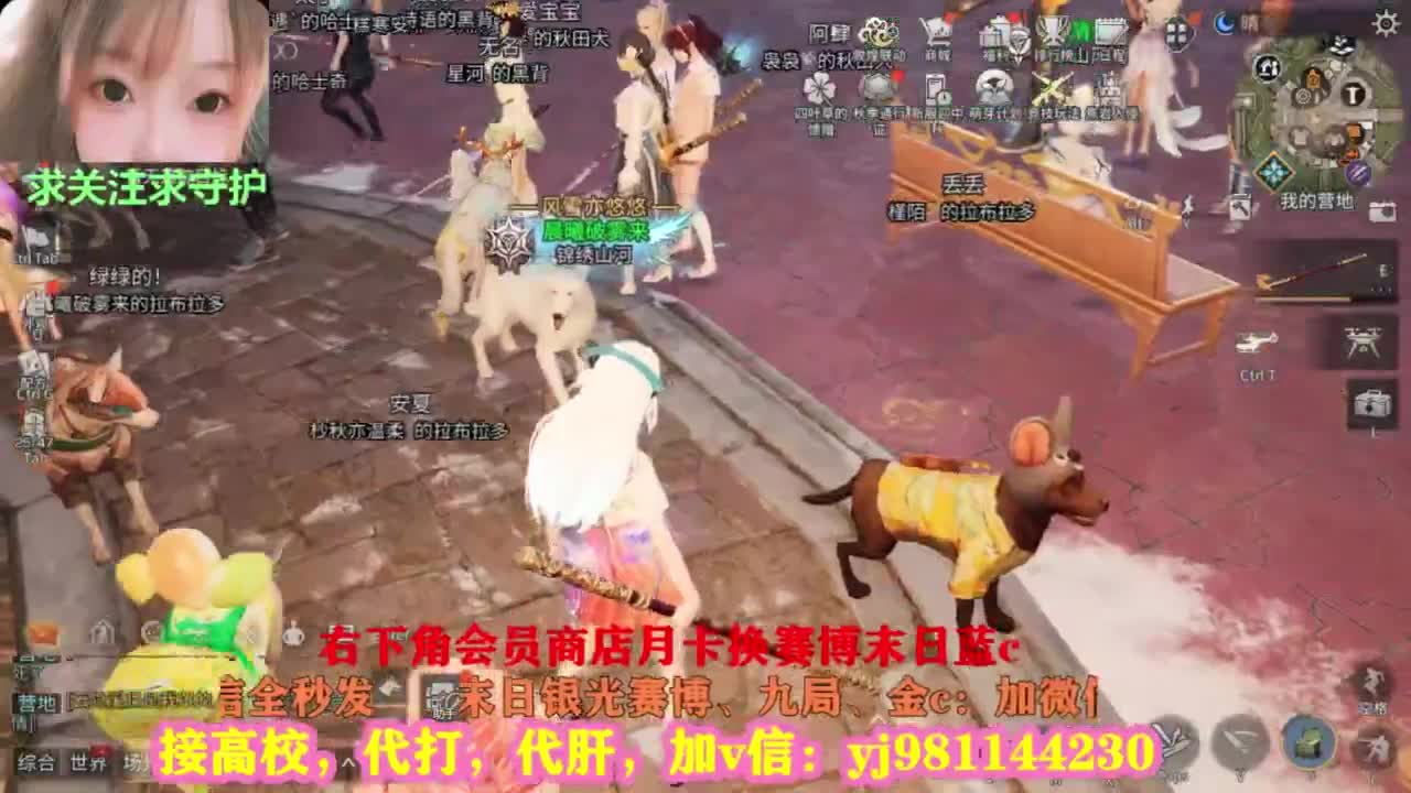 全套永久cc秒发秒到 第1段