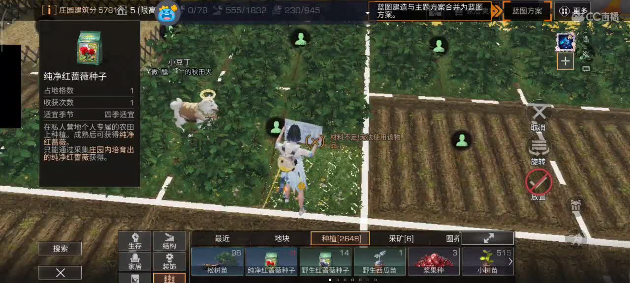 要努力开心 第9段