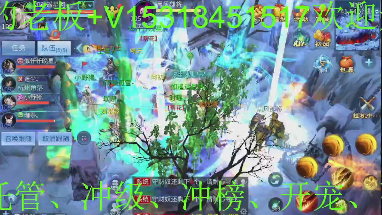 接大区，升级托管，冲榜，打造，强化开宠！