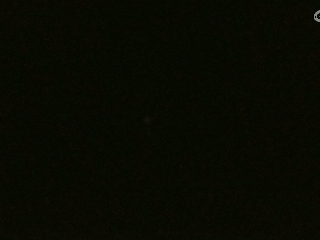 美貌与智慧并存，颜值与才华齐飞
