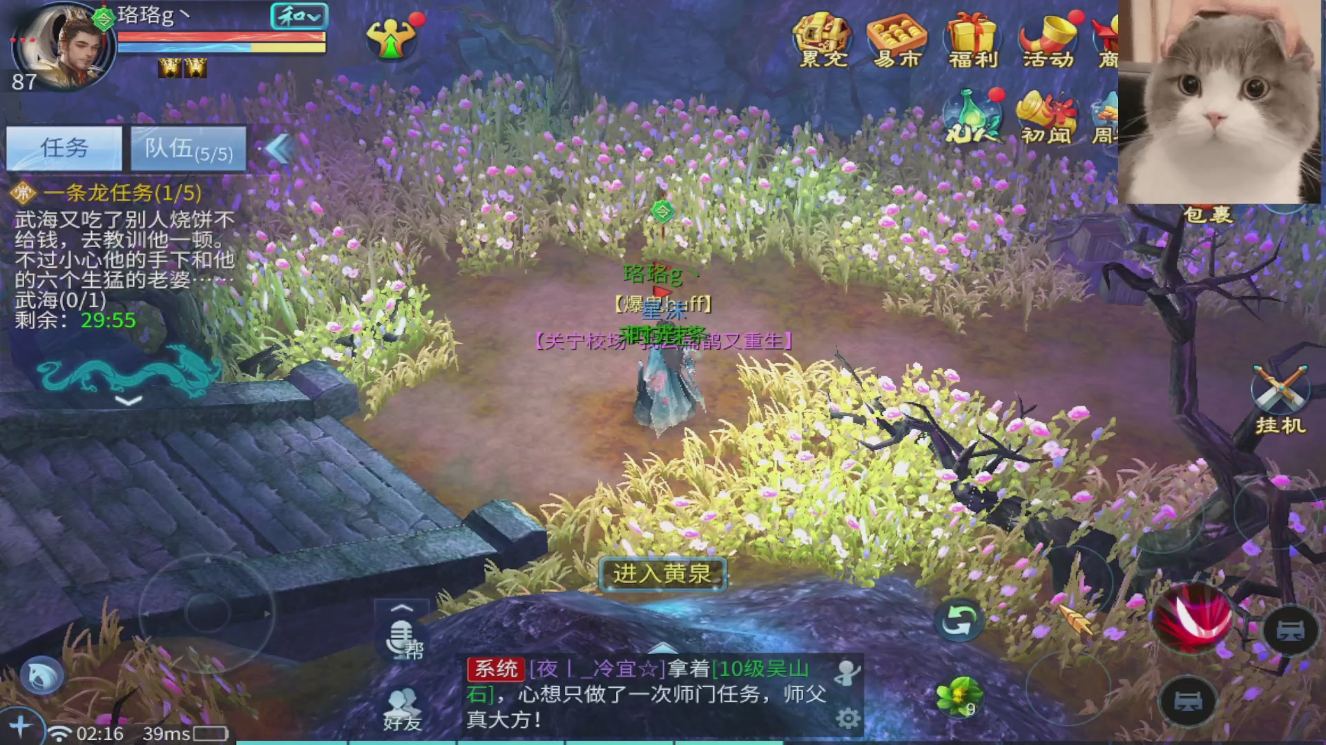 倩女手游珞珞 深夜哄睡