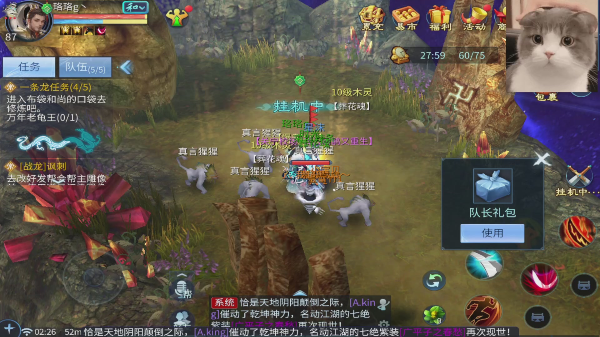 倩女手游珞珞 深夜哄睡