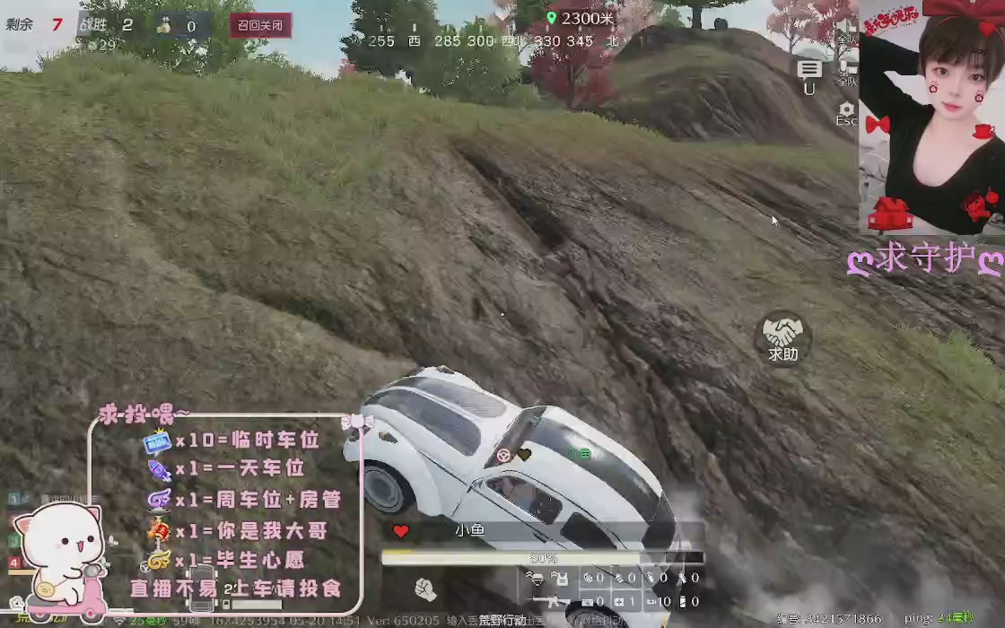 花很灿烂 风也温柔