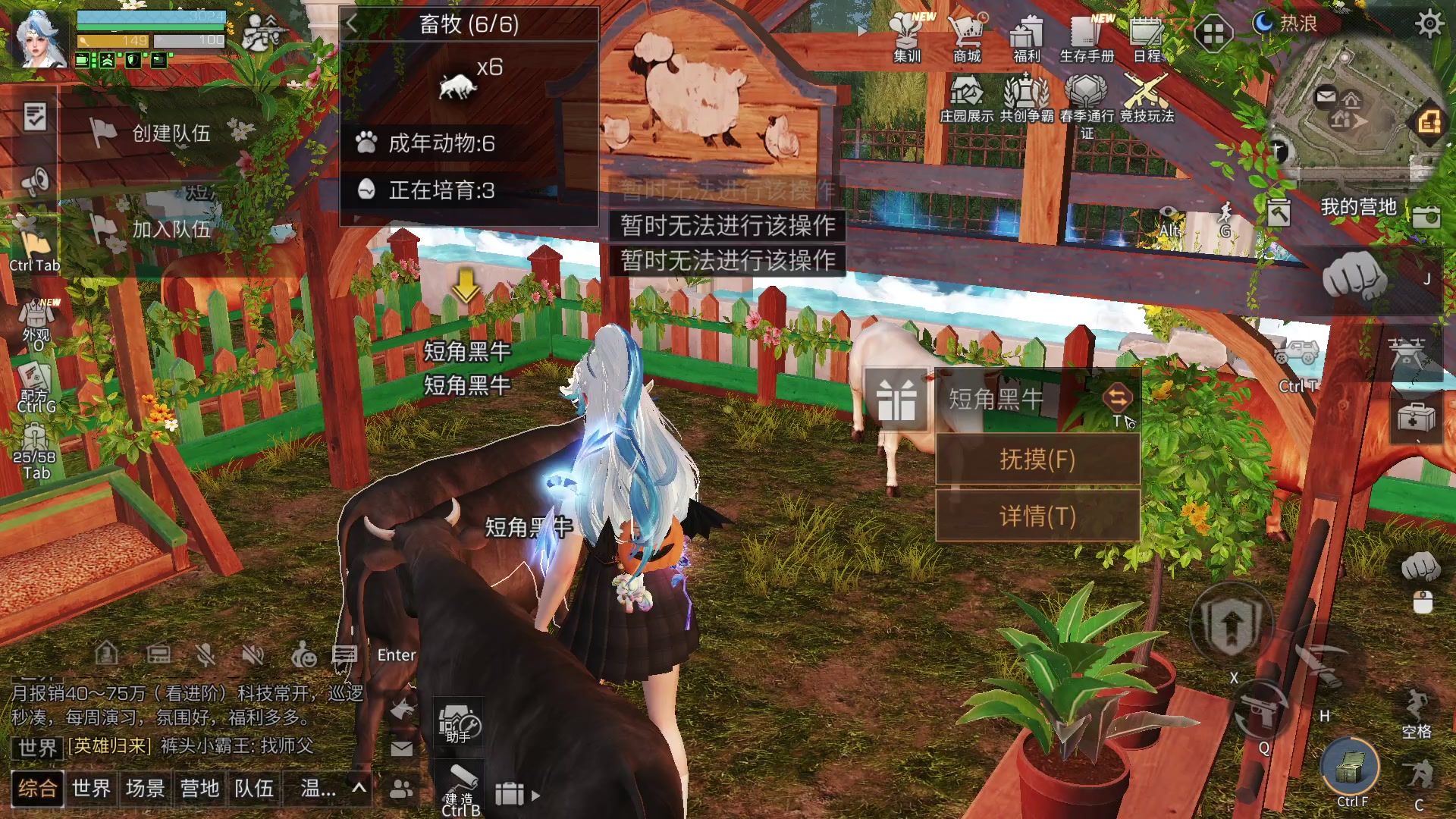 所有区服CC时装特价