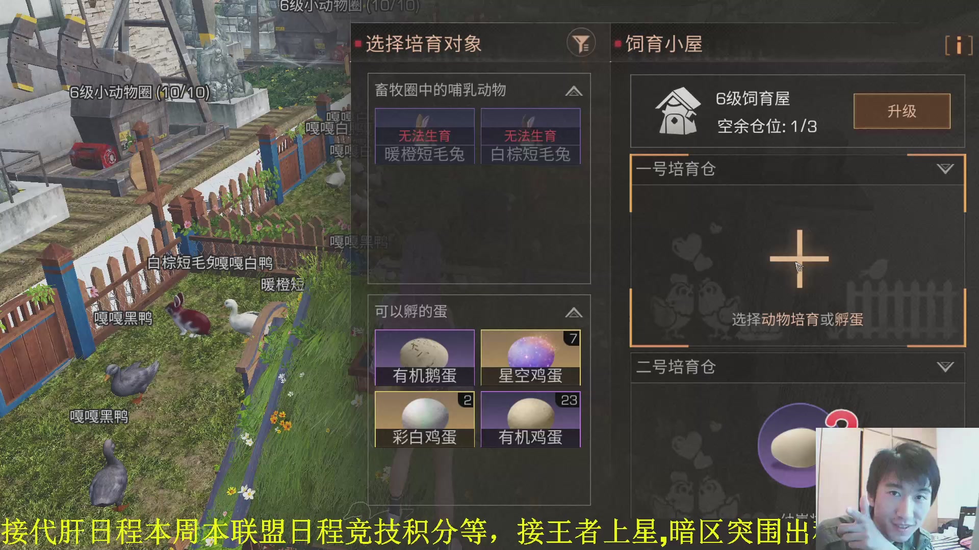 专业接代/肝 最强肝帝有问必答