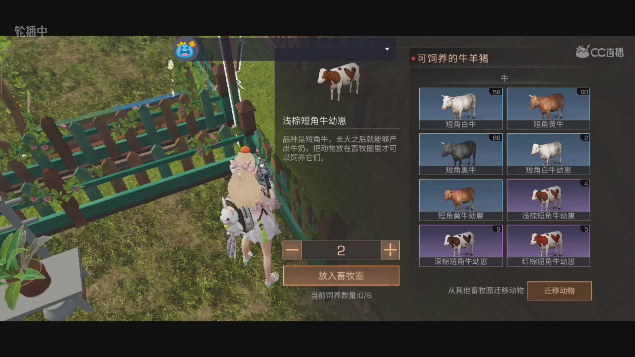 CC时装特价秒到加V