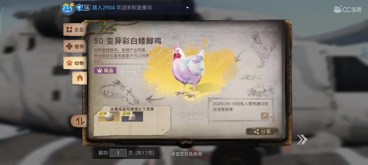 开心每一天 第8段