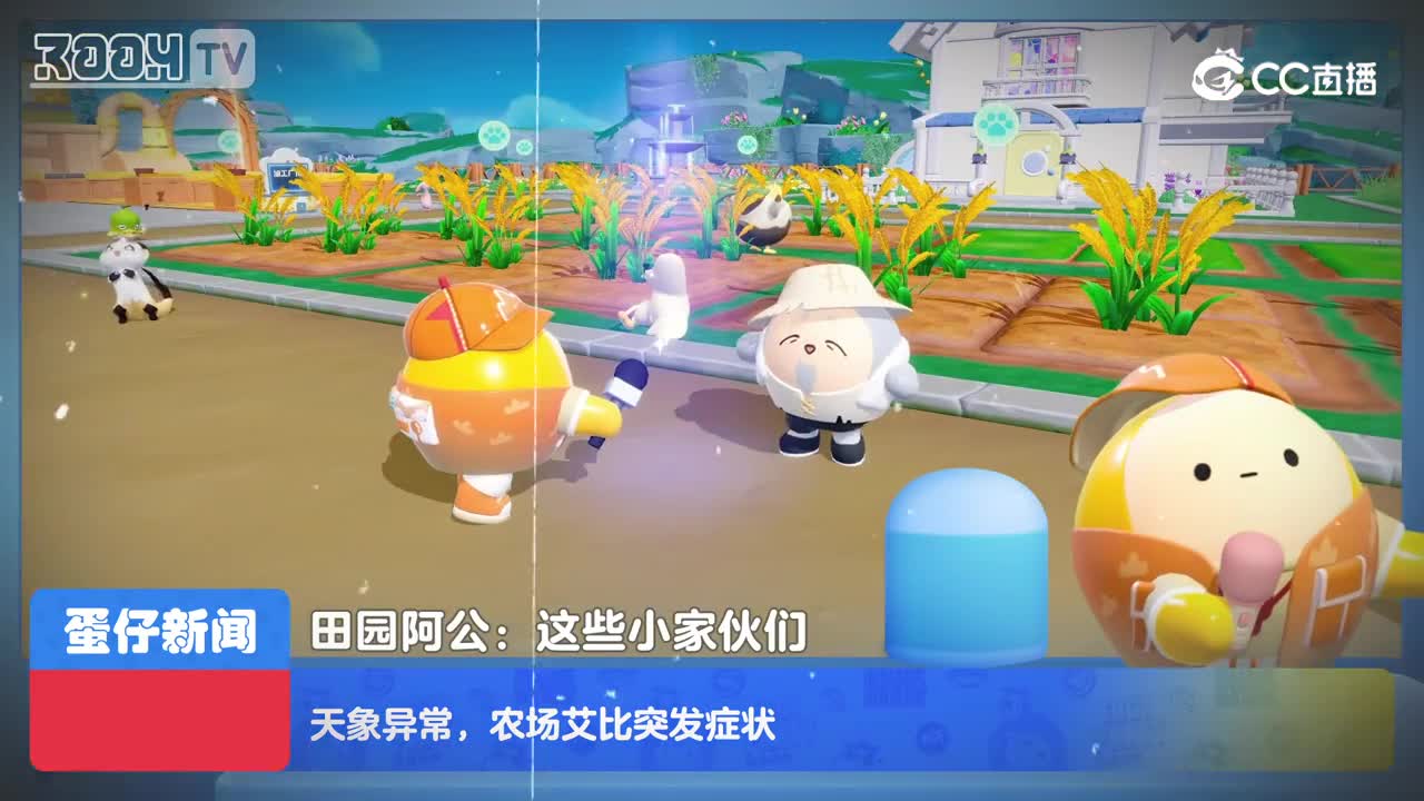 垫片1