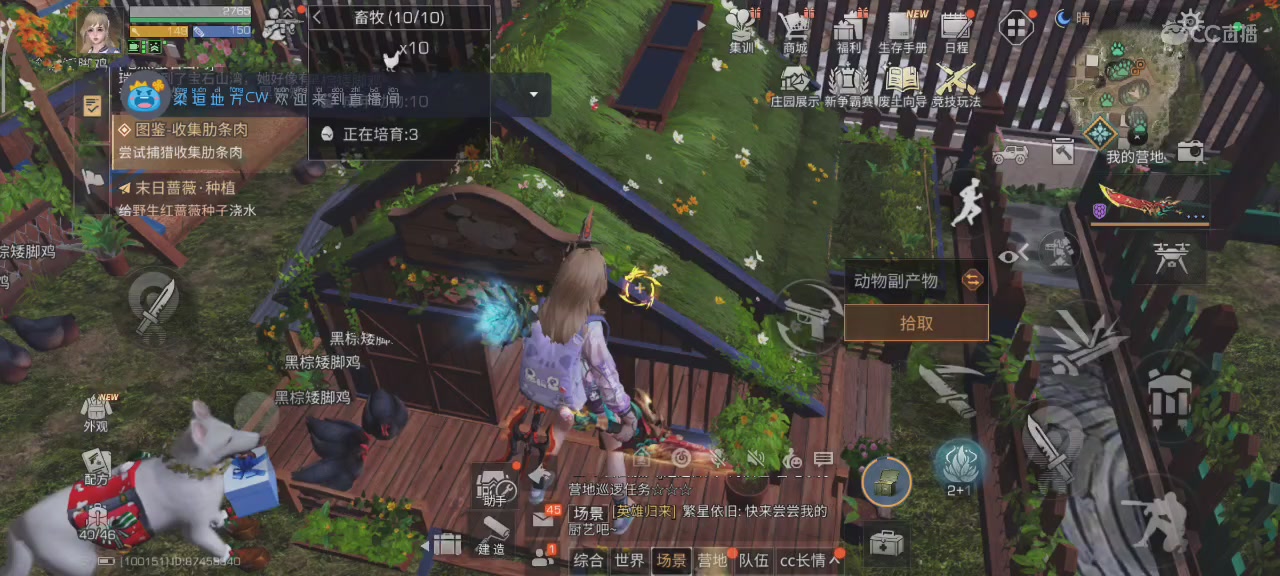 遇见你是幸运