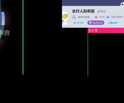 全村人的希望