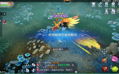 欢迎来看我的直播～