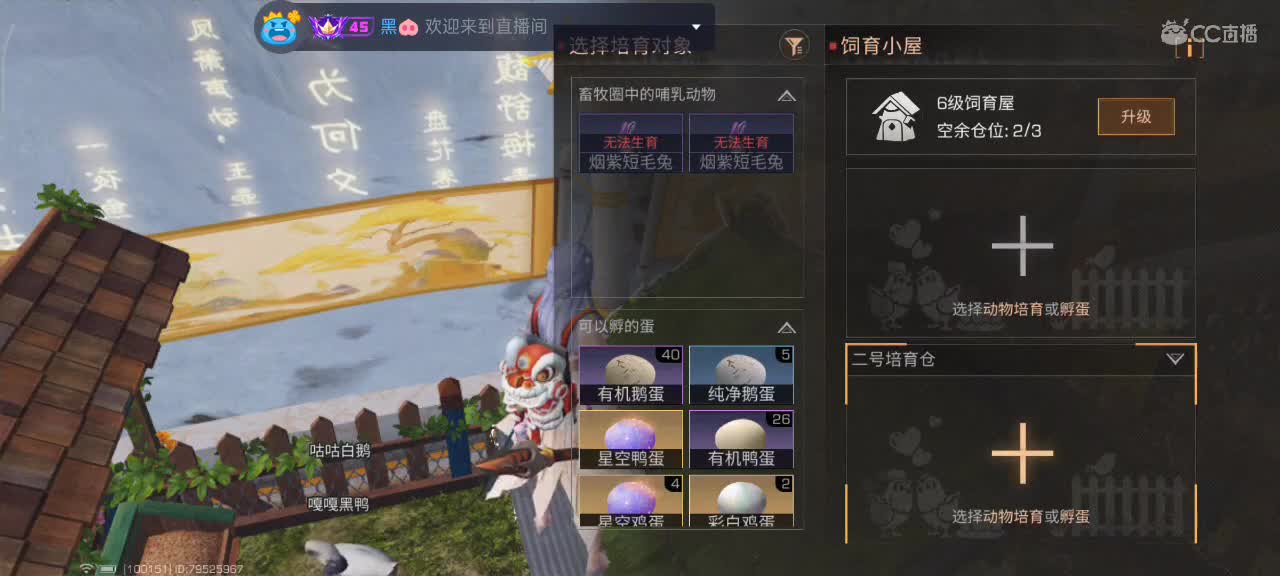 开心每一天 第6段