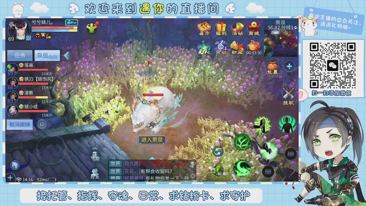 接托管-夺魂-卡龙-新区冲级
