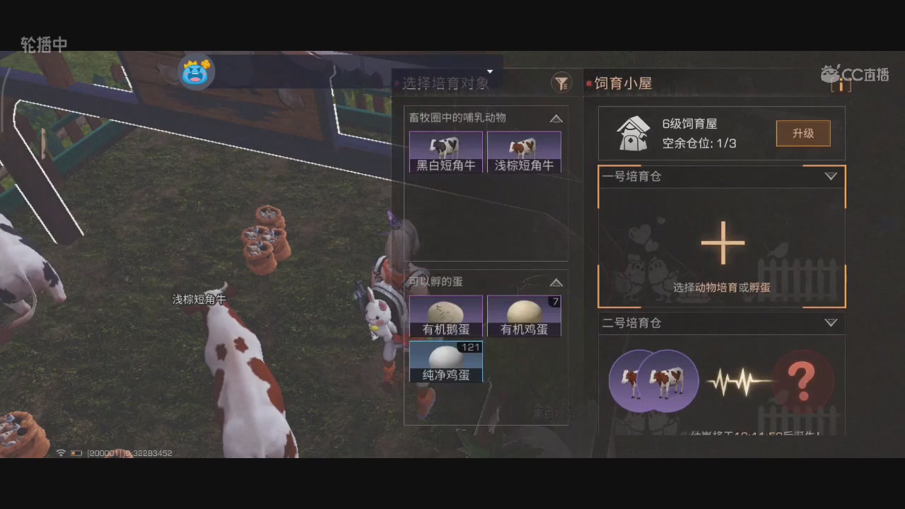 CC时装特价秒到加V