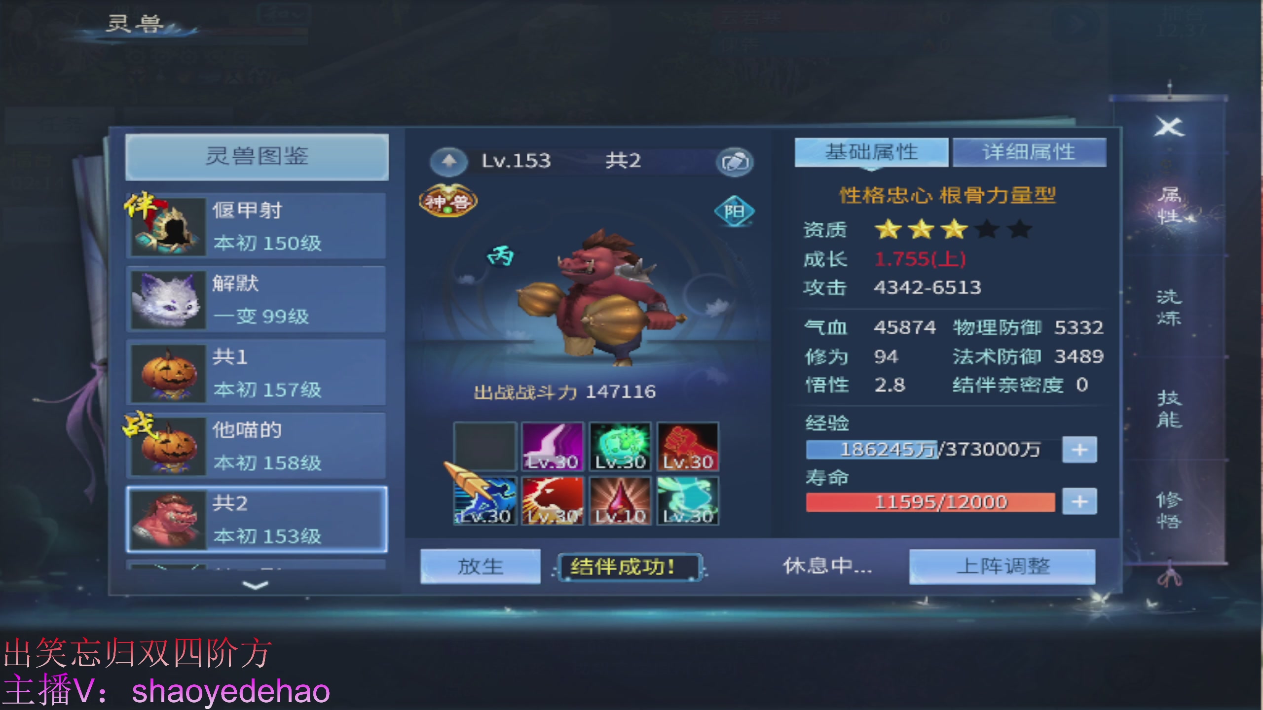 接托管 比武首席宗师 竞技场