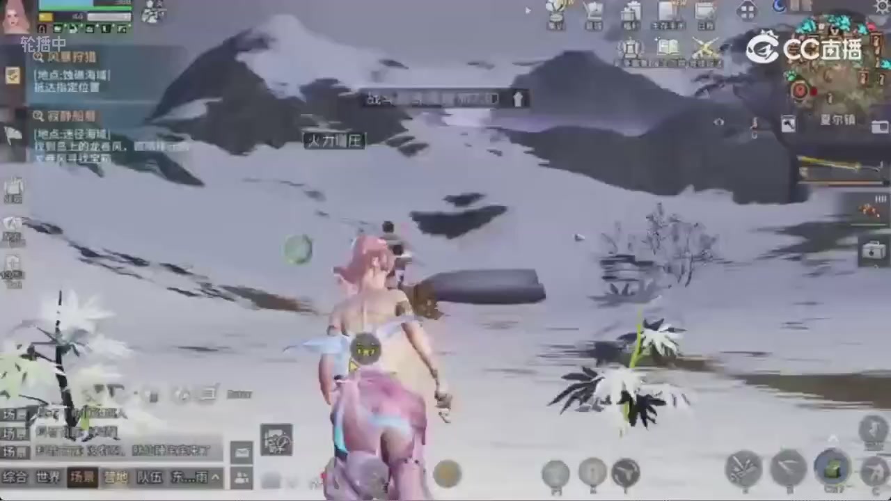CC荞的轮播