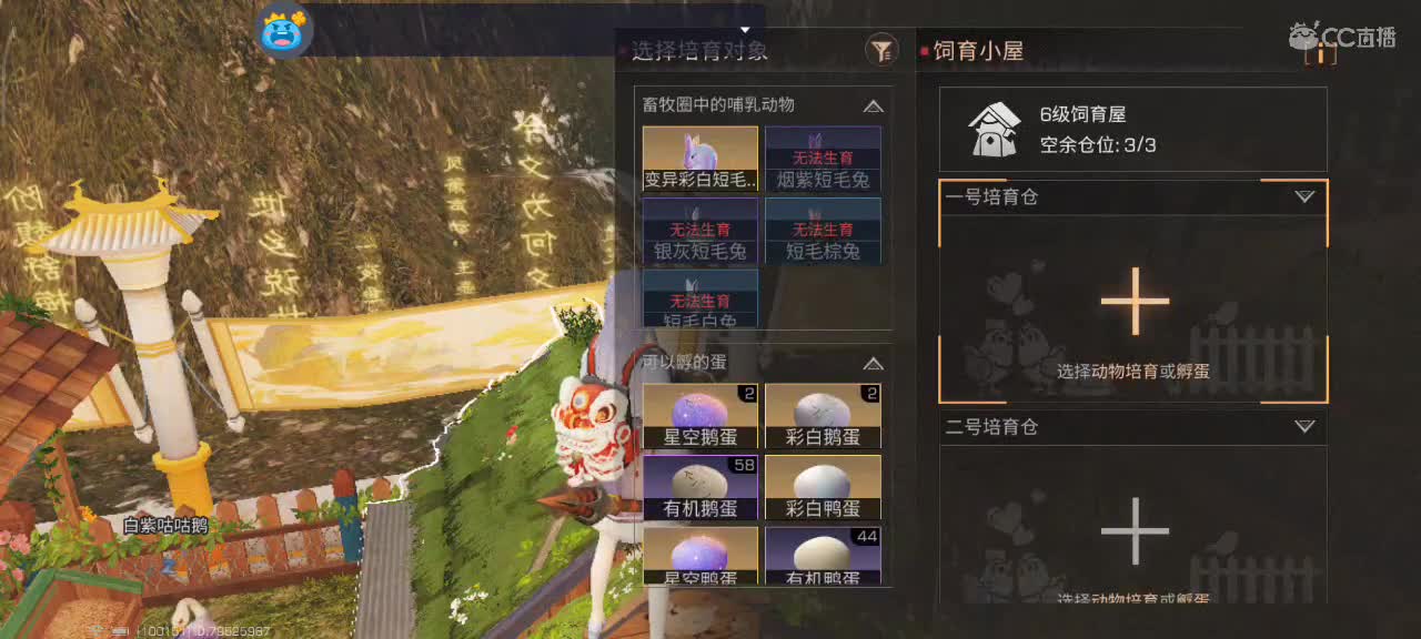 开心每一天 第11段