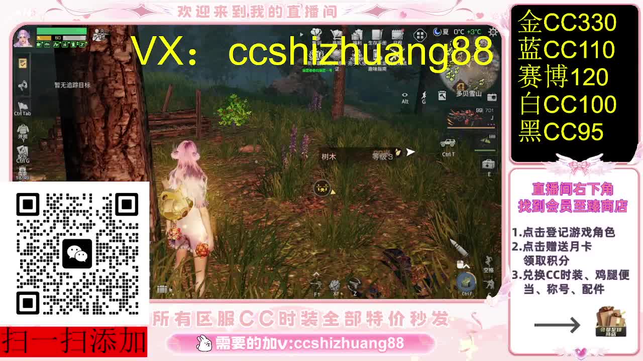 全服永久CC时装 第3段