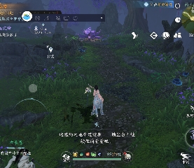 欢迎来看我的直播～