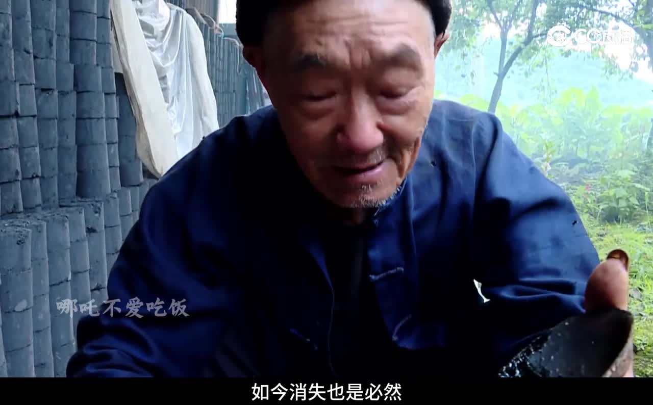 老人割了一辈子的漆，如今却再也割不到了