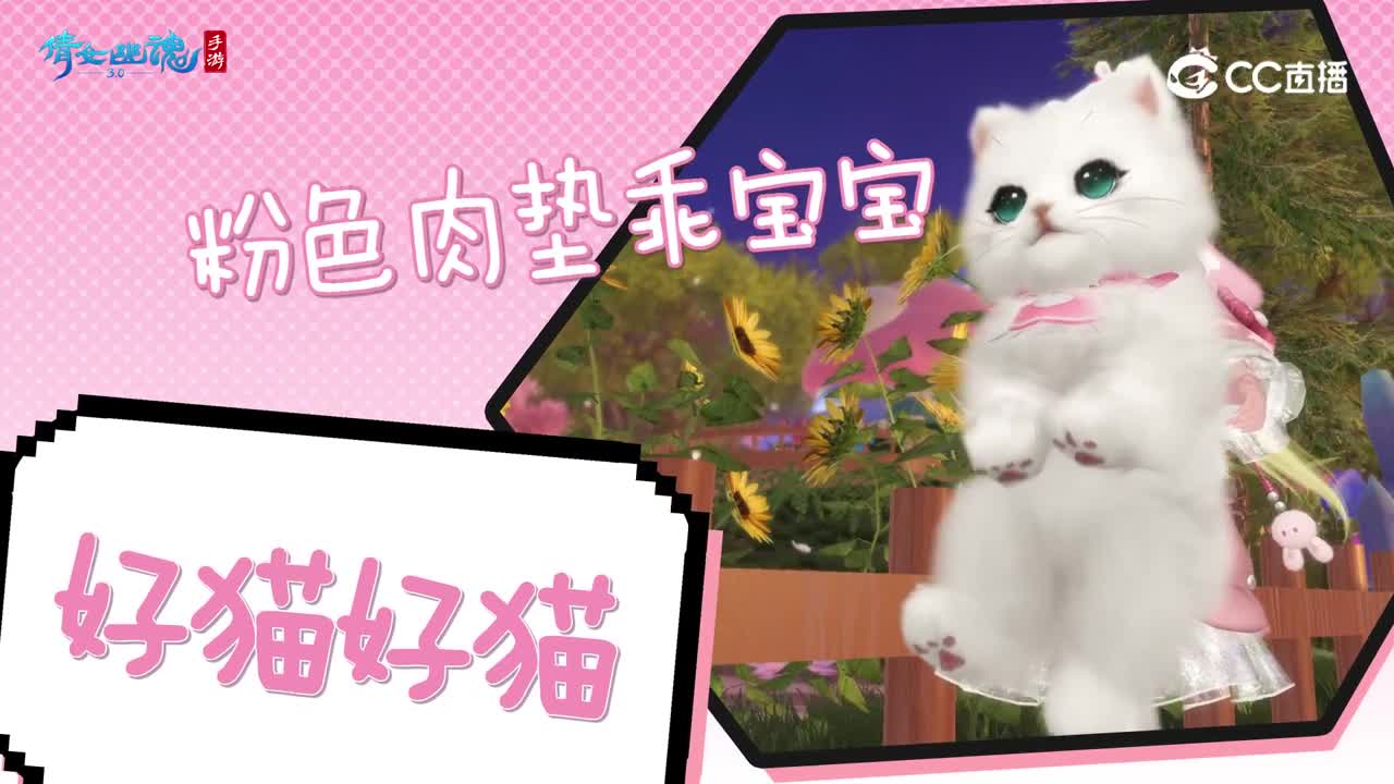 快来养猫PV