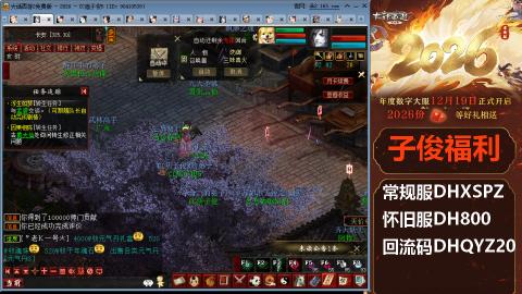 <2026>新手码：DHXSPZ