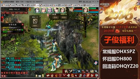 <2026>新手码：DHXSPZ