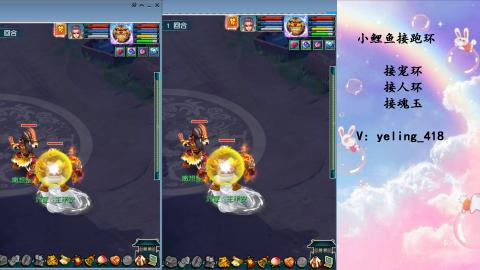 接命魂之玉 人环 宠环