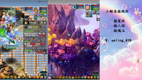 接命魂之玉 人环 宠环