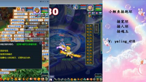 接命魂之玉 人环 宠环