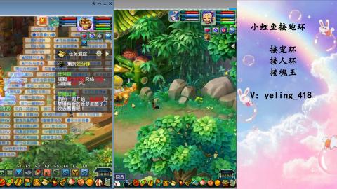 接命魂之玉 人环 宠环