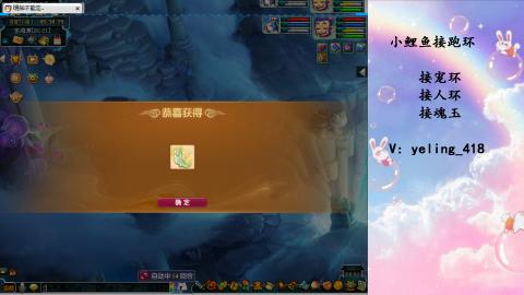 接命魂之玉 人环 宠环