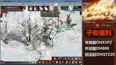 <2026>新手码：DHXSPZ