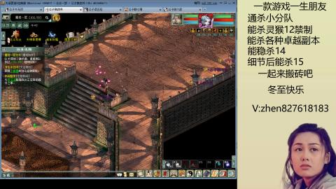 无属性双盘小分队