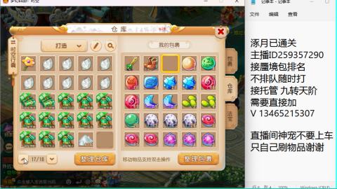 接九转蜃境托管~