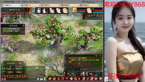 <2026>新手码：DHXY868