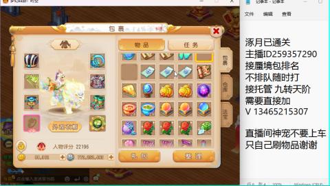 接九转蜃境托管~