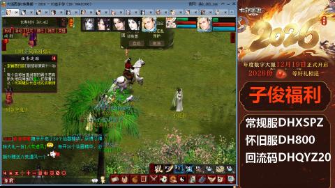 <2026>新手码：DHXSPZ