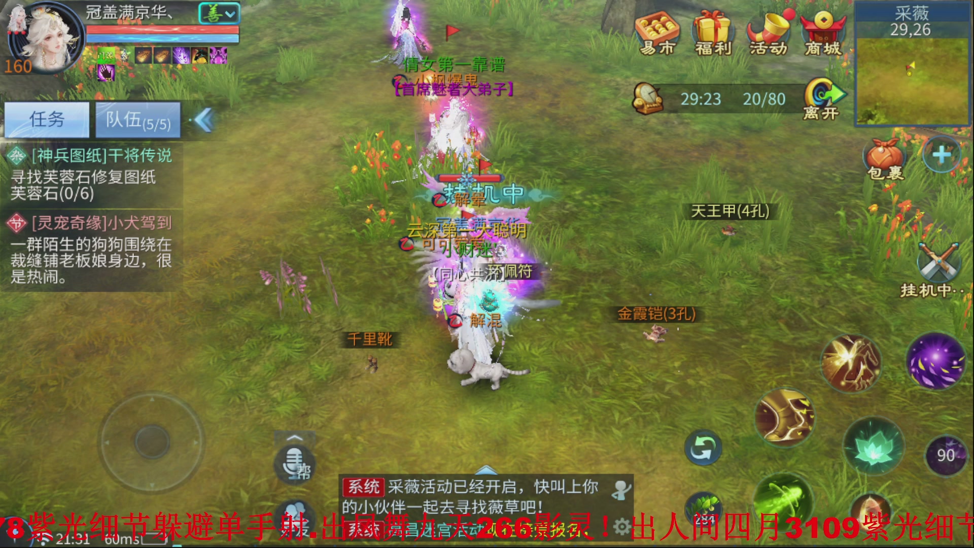 接全职业打造//指挥/比武/接全职托管