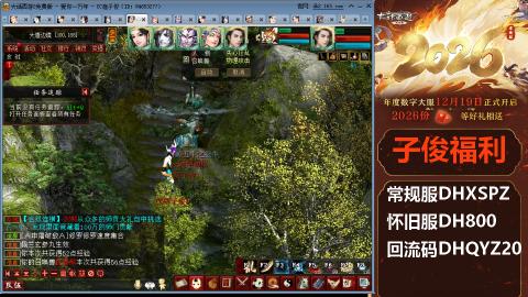 <2026>新手码：DHXSPZ