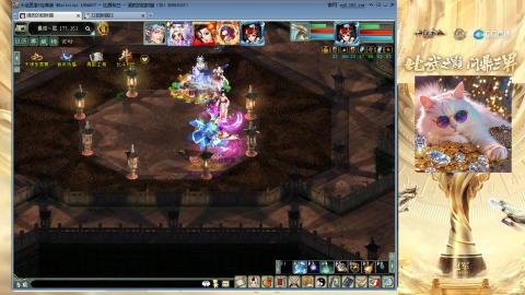 毒十女人欢迎踢馆