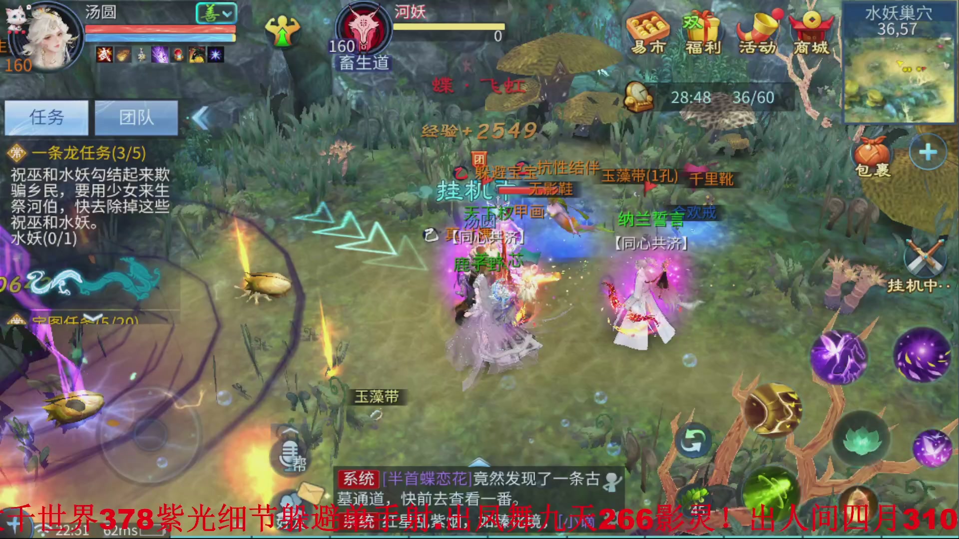 接全职业打造//指挥/比武/接全职托管