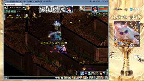 毒十女人欢迎踢馆