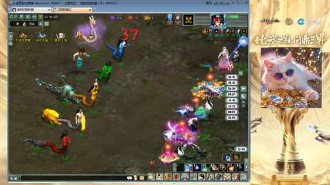 毒十女人欢迎踢馆