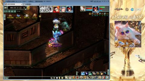 毒十女人欢迎踢馆